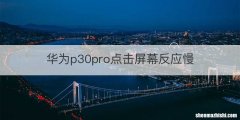 华为p30pro点击屏幕反应慢