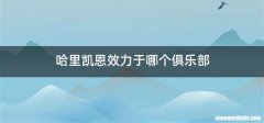 哈里凯恩效力于哪个俱乐部