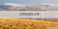 王明阳酒怎么样