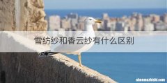 雪纺纱和香云纱有什么区别