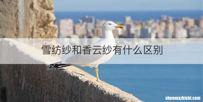雪纺纱和香云纱有什么区别