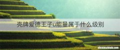 壳牌爱德王子u能量属于什么级别