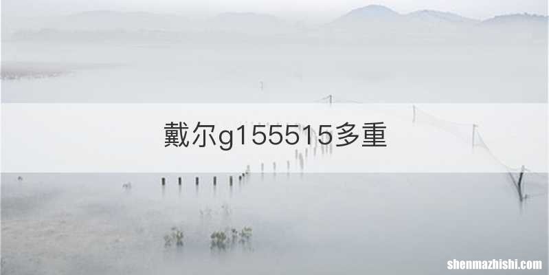 戴尔g155515多重
