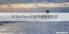 华为p30pro王者荣耀触屏失灵