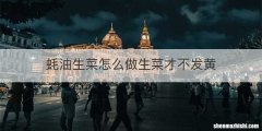 蚝油生菜怎么做生菜才不发黄