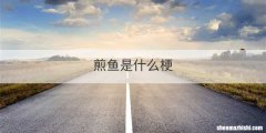 煎鱼是什么梗