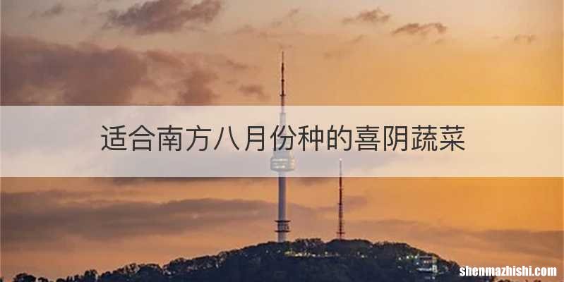 适合南方八月份种的喜阴蔬菜