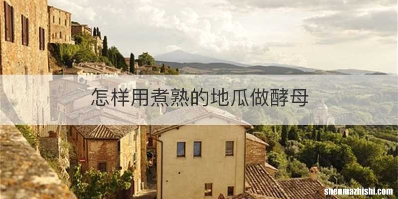 怎样用煮熟的地瓜做酵母