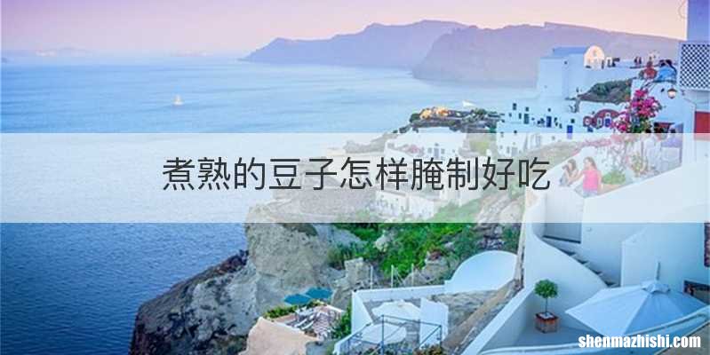 煮熟的豆子怎样腌制好吃