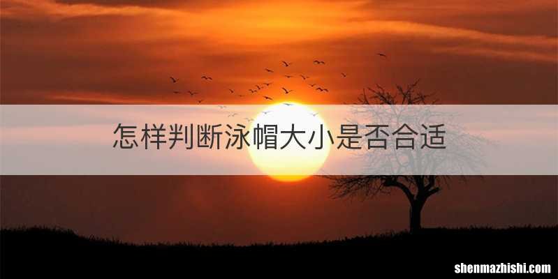 怎样判断泳帽大小是否合适