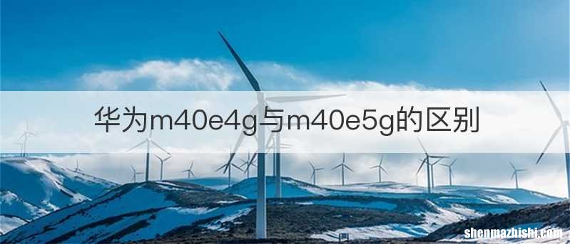 华为m40e4g与m40e5g的区别