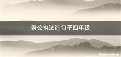 秉公执法造句子四年级