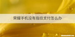荣耀手机没有指纹支付怎么办