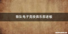 狼队电子竞技俱乐部老板
