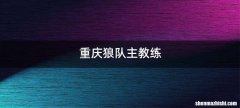 重庆狼队主教练