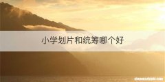 小学划片和统筹哪个好