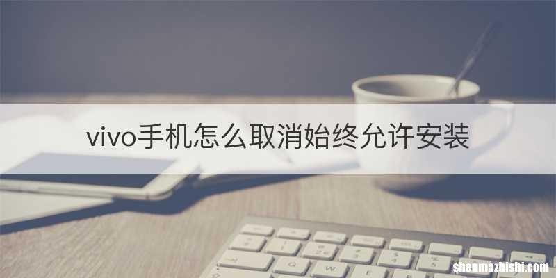 vivo手机怎么取消始终允许安装