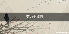 劳力士梅西