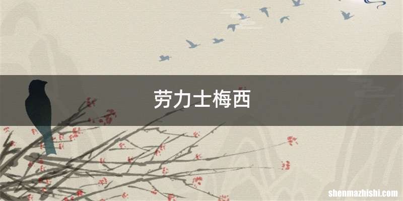 劳力士梅西