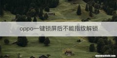 oppo一键锁屏后不能指纹解锁