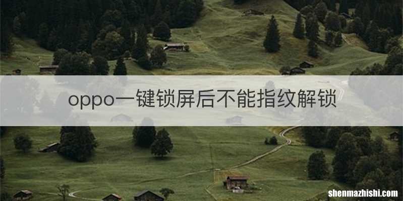 oppo一键锁屏后不能指纹解锁