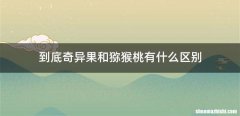 到底奇异果和猕猴桃有什么区别