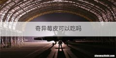 奇异莓皮可以吃吗