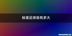标准足球场有多大