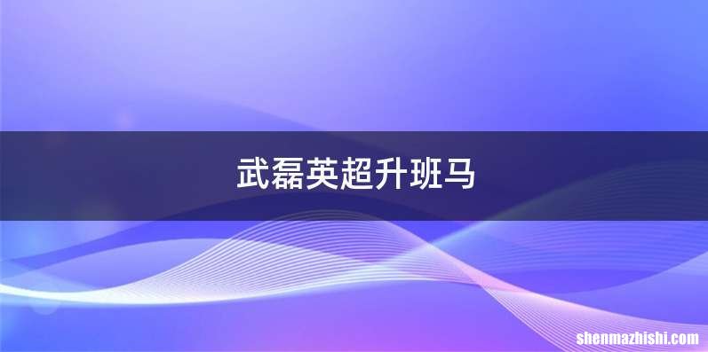 武磊英超升班马