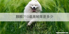 麒麟710最高帧率是多少