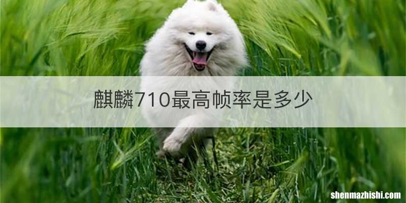 麒麟710最高帧率是多少