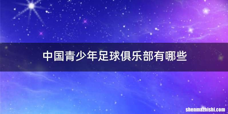 中国青少年足球俱乐部有哪些