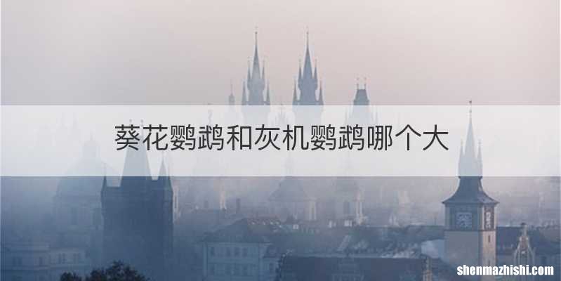 葵花鹦鹉和灰机鹦鹉哪个大