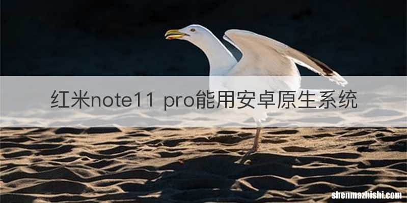 红米note11 pro能用安卓原生系统
