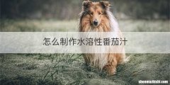 怎么制作水溶性番茄汁