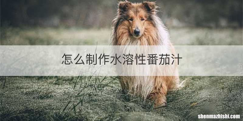 怎么制作水溶性番茄汁