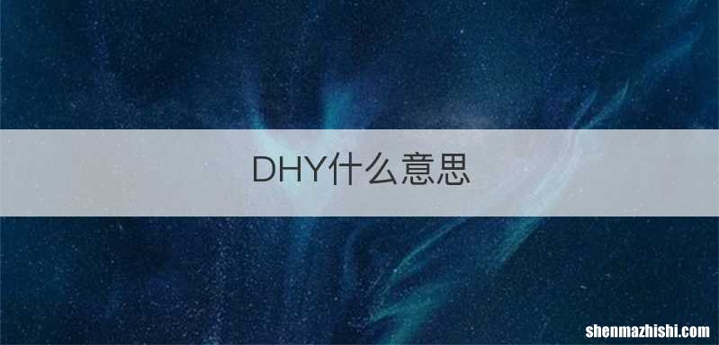 DHY什么意思