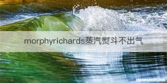 morphyrichards蒸汽熨斗不出气