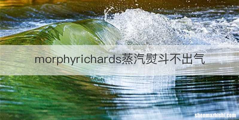 morphyrichards蒸汽熨斗不出气