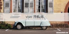 vivo 开机词