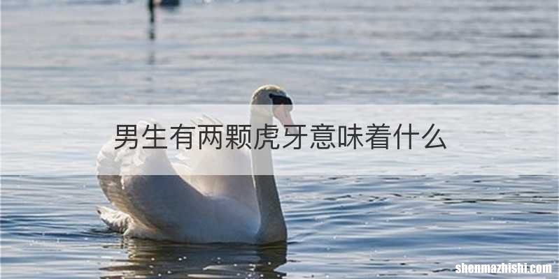 男生有两颗虎牙意味着什么