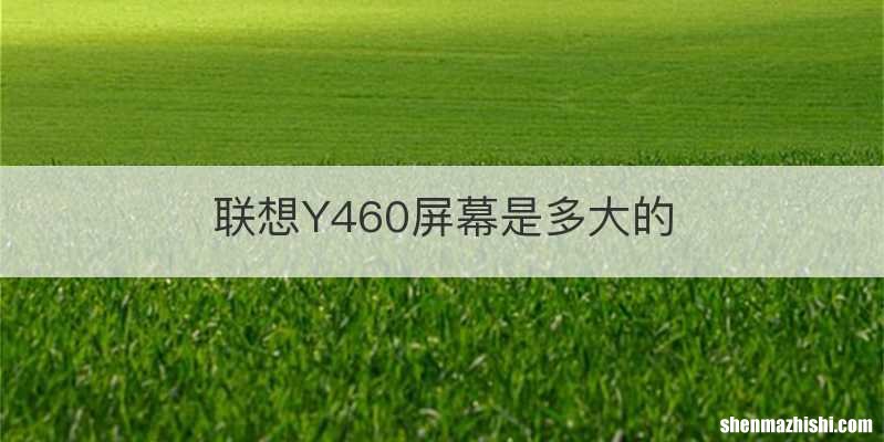 联想Y460屏幕是多大的