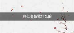 拜仁老板做什么的