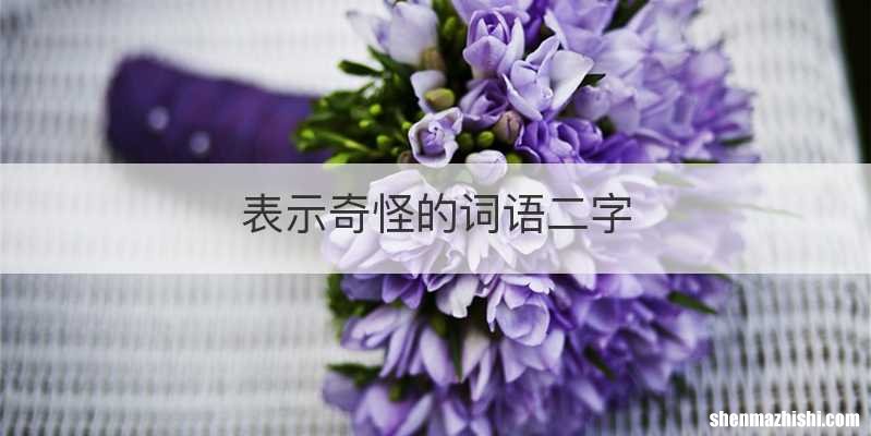 表示奇怪的词语二字