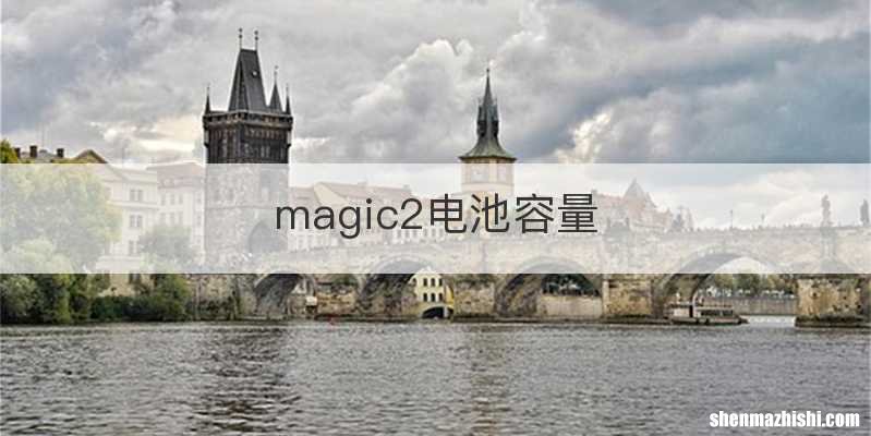 magic2电池容量