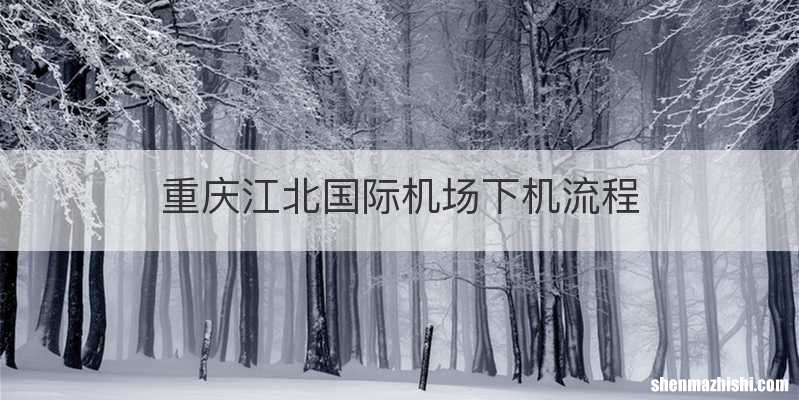 重庆江北国际机场下机流程