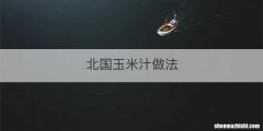 北国玉米汁做法
