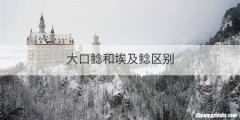 大口鲶和埃及鲶区别