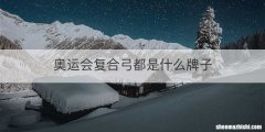 奥运会复合弓都是什么牌子