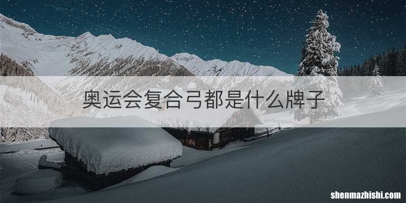 奥运会复合弓都是什么牌子